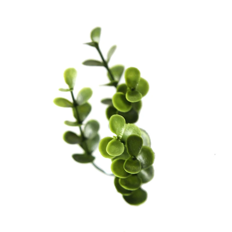 Jardín Vertical | Buxus vertical | Sin Mantenimiento | Interior y Exterior
