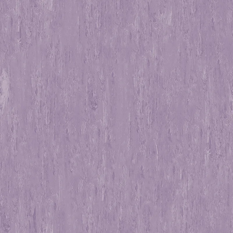 Arquisuelo