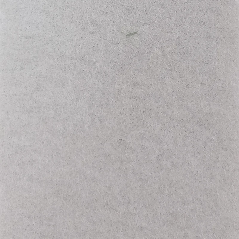 Arquisuelo