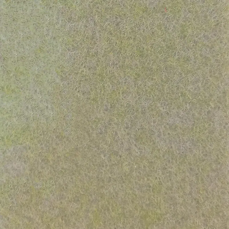 Arquisuelo