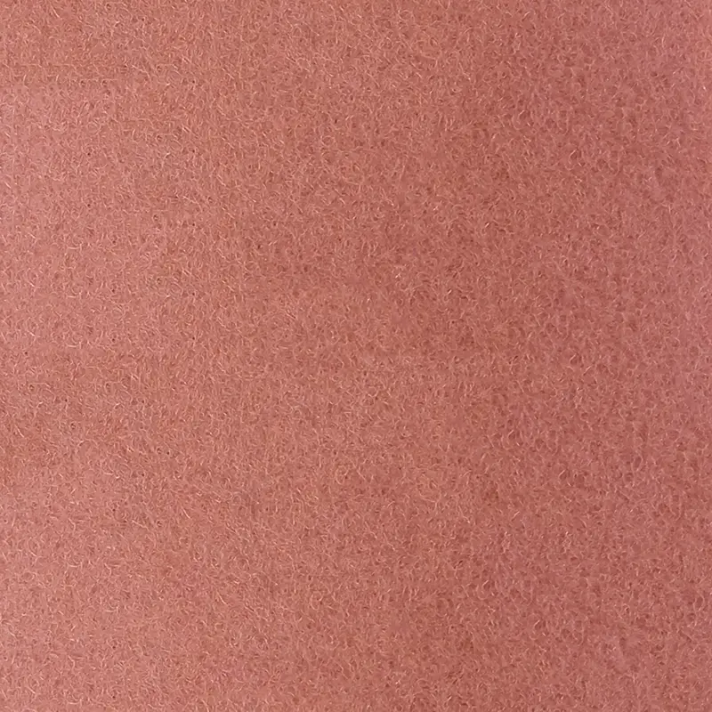 Arquisuelo
