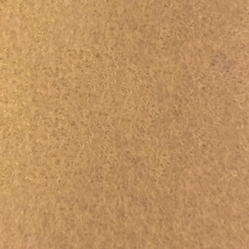 Arquisuelo