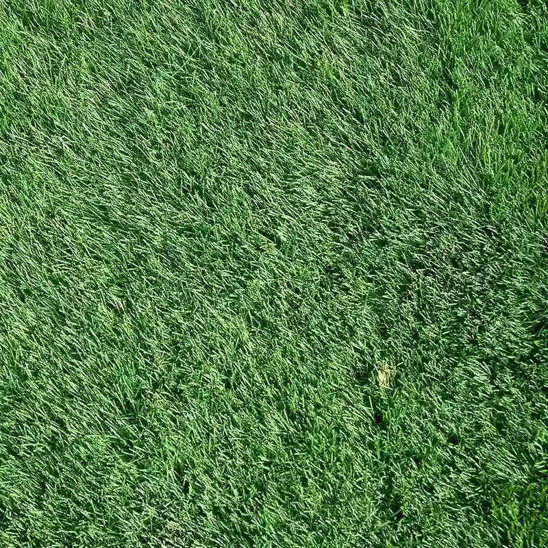 Césped Artificial Vesta | 24mm | Ignífugo | Alto Tránsito | Jardines | Piscinas | Barbacoas