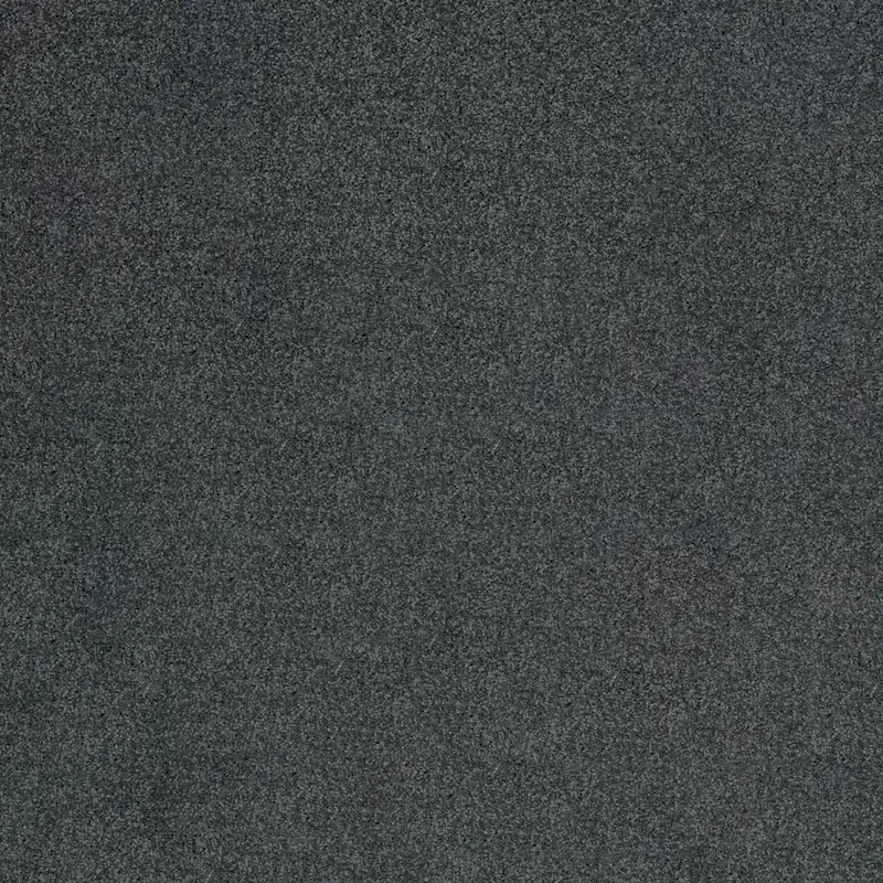 Moqueta Ecos de la Musa | Antracita | Calidad Premium | Resistencia y Suavidad