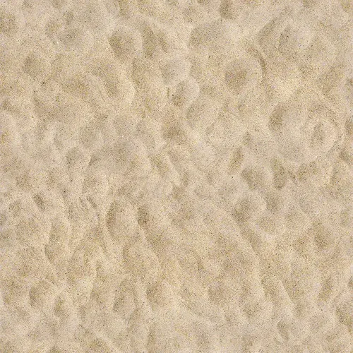Arquisuelo