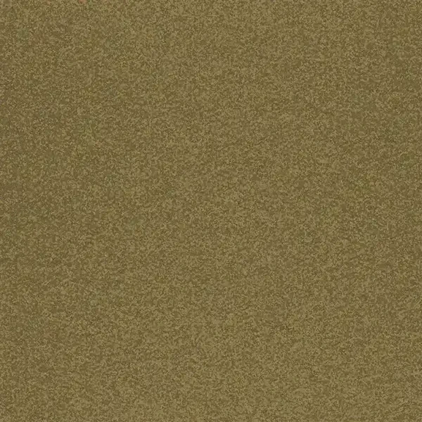 Arquisuelo
