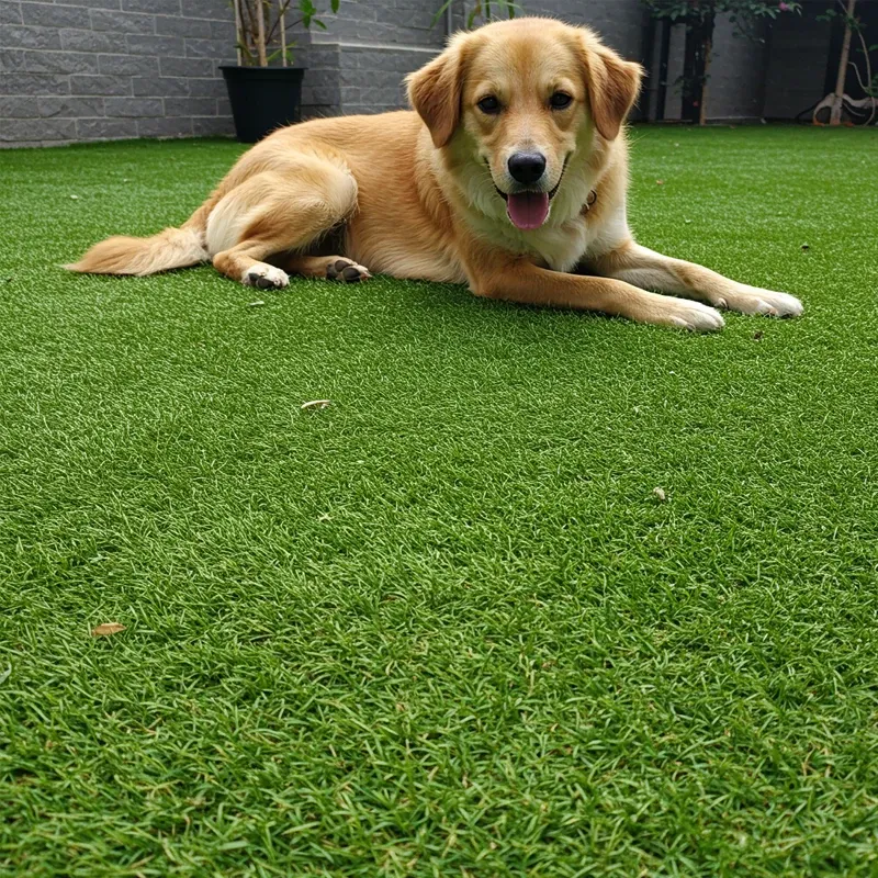 Césped Artificial Malu | 20mm | Densidad Premium | Hogar | Jardín | Terraza | Fácil Instalación