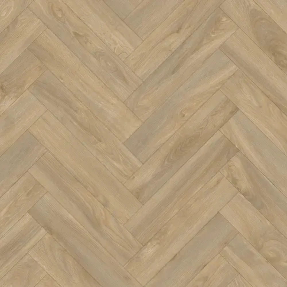 Arquisuelo