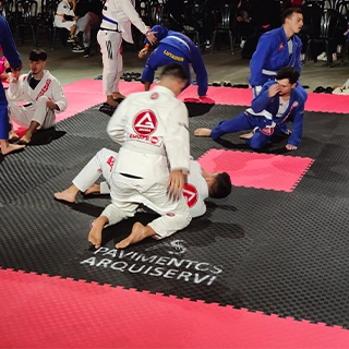 Galería Tatami 6